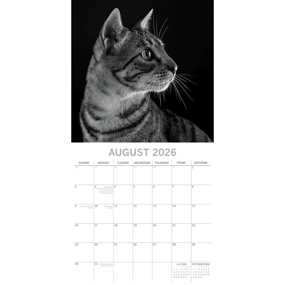 Cat Portraits 2026 Wall Calendar Third Alternate Image