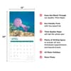 image Jellyfish 2024 Wall Calendar Seventh Alternate Image width=&quot;1000&quot; height=&quot;1000&quot;