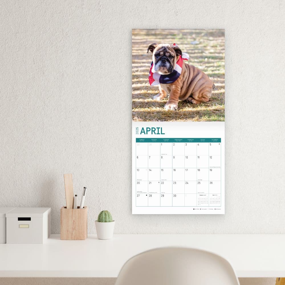 Bulldog Puppies 2025 Wall Calendar Fifth Alternate Image