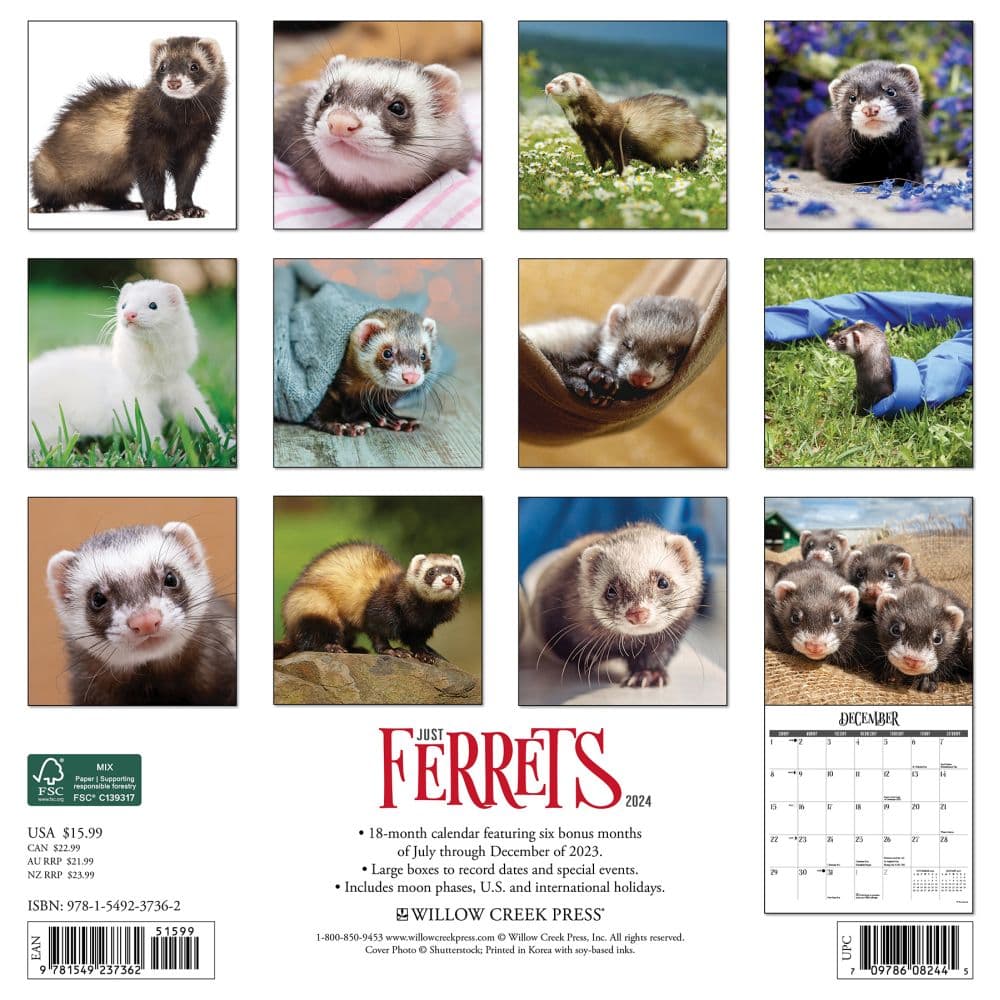 Ferrets 2024 Wall Calendar