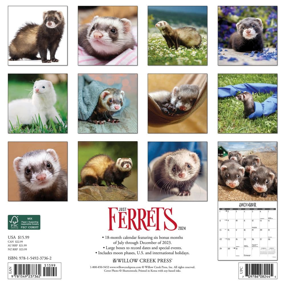 Ferrets 2025 Wall Calendar