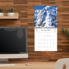 image Wild and Wonderful Weather 2025 Mini Wall Calendar