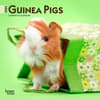 image Guinea Pigs 2024 Mini Wall Calendar Main Product Image width=&quot;1000&quot; height=&quot;1000&quot;
