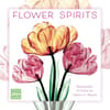 image Flower Spirits 2024 Wall Calendar Main Image