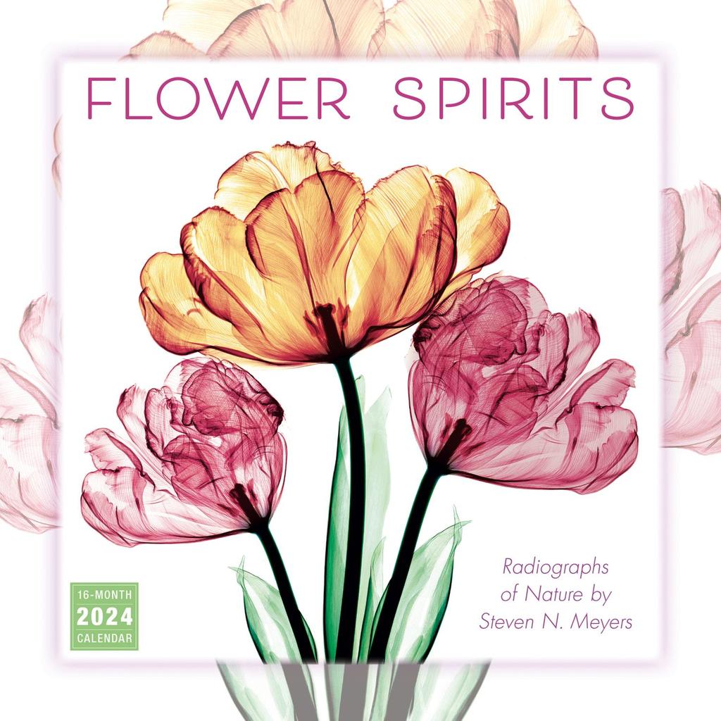 Flower Spirits 2024 Wall Calendar