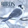 image Birds Feathered Friends 2025 Wall Calendar Main Image