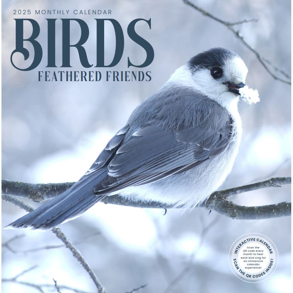 Birds Feathered Friends 2025 Wall Calendar Main Image