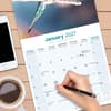 image Budgerigar 2027 Wall Calendar Fourth Alternate Image