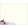 image Wintertime Cardinal Christmas Cards by Sam Timm