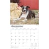 image Pit Bull Terriers Deluxe 2026 Wall Calendar