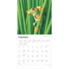image Frogs 2025 Wall Calendar Second Alternate Image width=&quot;1000&quot; height=&quot;1000&quot;