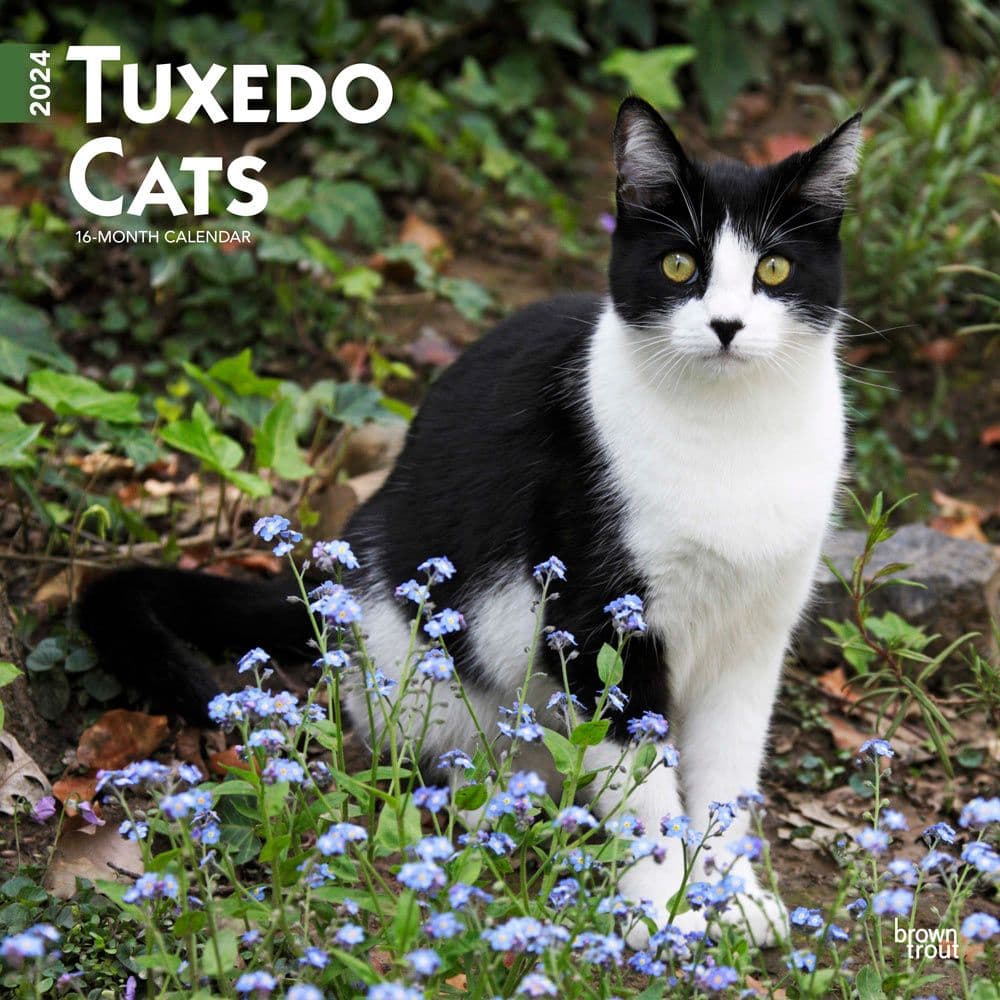 Tuxedo Cats 2024 Wall Calendar Calendars Com   00520a0f 0bcd 4efe 8aee 47e6d2b316d9