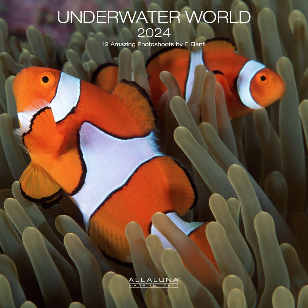 Underwater World 2024 Wall Calendar