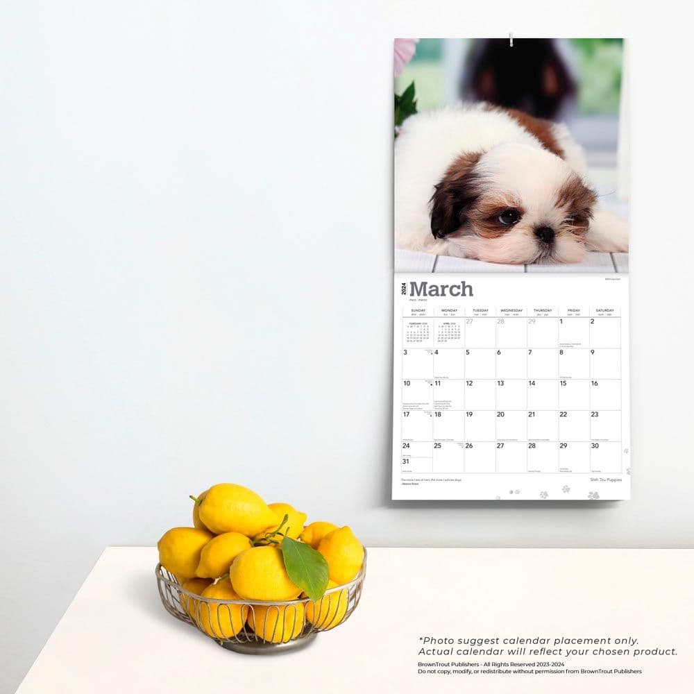 Shih Tzu Puppies 2024 Wall Calendar Alternate Image 3