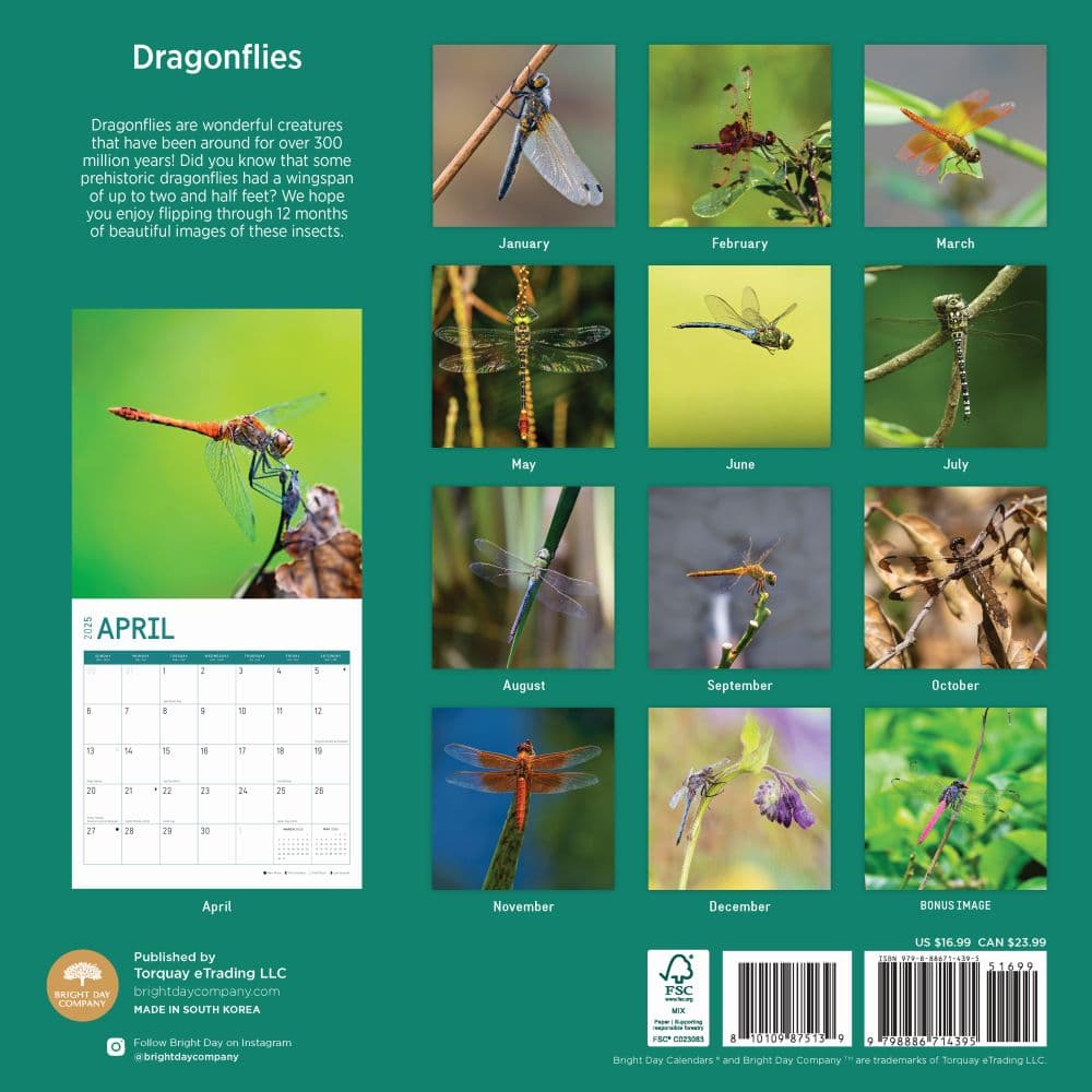 Dragonflies 2025 Wall Calendar