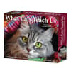 image What Cats Teach Us 2026 Desk Calendar Main Product Image