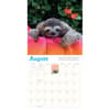 image Hanging With Sloths 2024 Wall Calendar Alternate Image 2