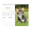image Kittens 2026 Desk Calendar