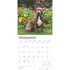 image Pit Bull Terriers 2025 Wall Calendar