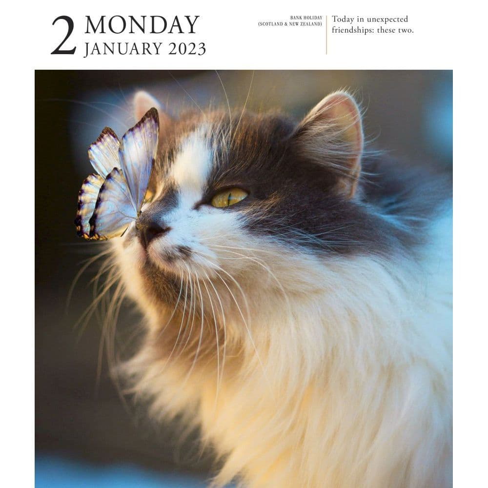 Cat 2023 Page-A-Day Gallery Calendar - Calendars.com