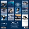 image Orcas 2025 Wall Calendar First Alternate Image width=&quot;1000&quot; height=&quot;1000&quot;