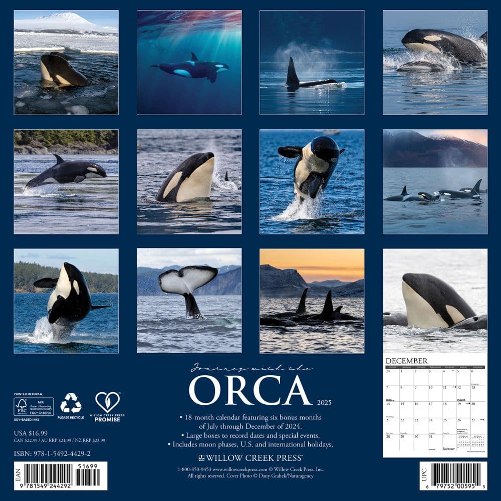 Orcas 2025 Wall Calendar First Alternate Image width=&quot;1000&quot; height=&quot;1000&quot;