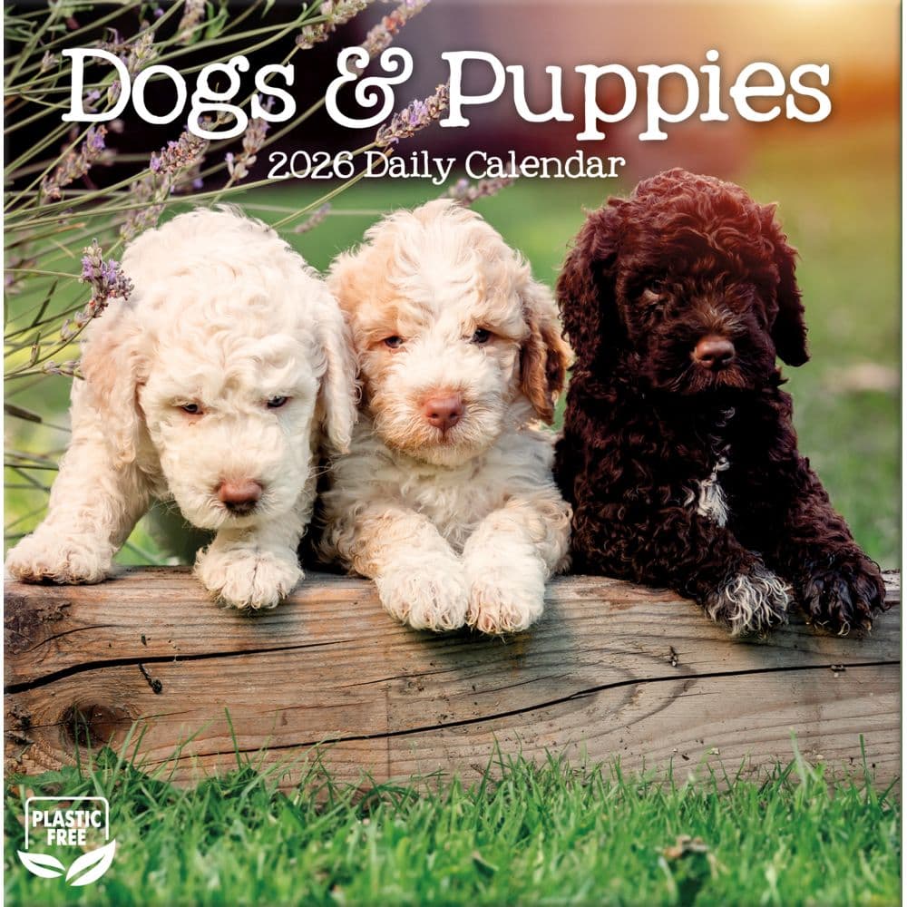 Dogs And Puppies 2026 Desk Calendar_ALT1