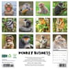 image Monkey Business 2025 Wall Calendar First Alternate Image width=&quot;1000&quot; height=&quot;1000&quot;