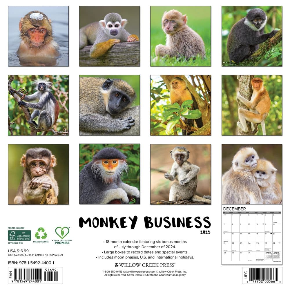 Monkey Business 2025 Wall Calendar First Alternate Image width=&quot;1000&quot; height=&quot;1000&quot;