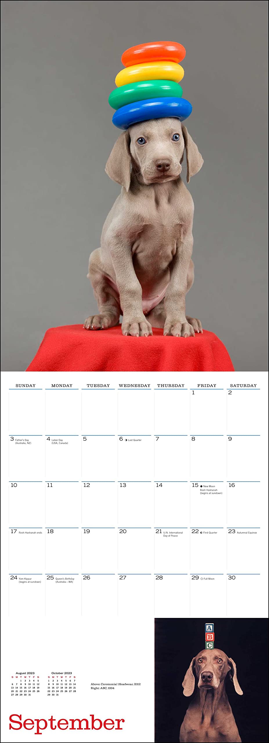 William Wegman Big And Little 2023 Wall Calendar Calendars