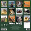 image Animal Antics 2026 Wall Calendar