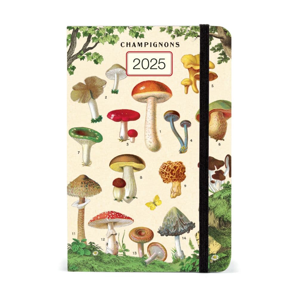 Mushrooms Weekly 2025 Planner Main Image