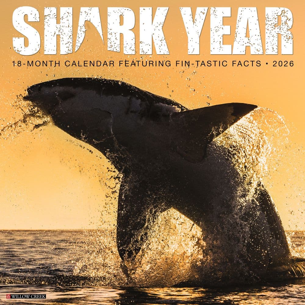 Shark Year 2026 Wall Calendar  Main Image