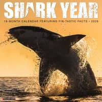 image Shark Year 2026 Wall Calendar  Main Image