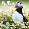 image Puffins 2024 Wall Calendar Main Product Image width=&quot;1000&quot; height=&quot;1000&quot;