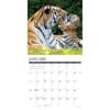 image Tigers 2026 Wall Calendar Second Alternate Image
