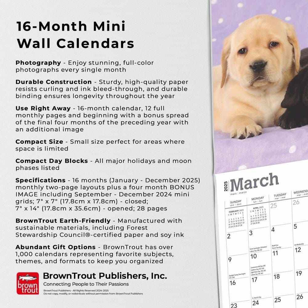 Lab Retriever Puppies 2025 Mini Wall Calendar Fifth Alternate Image width=&quot;1000&quot; height=&quot;1000&quot;