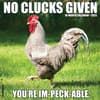 image No Clucks Given 2025 Wall Calendar Main Image