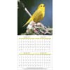 image Songbirds 2025 Wall Calendar