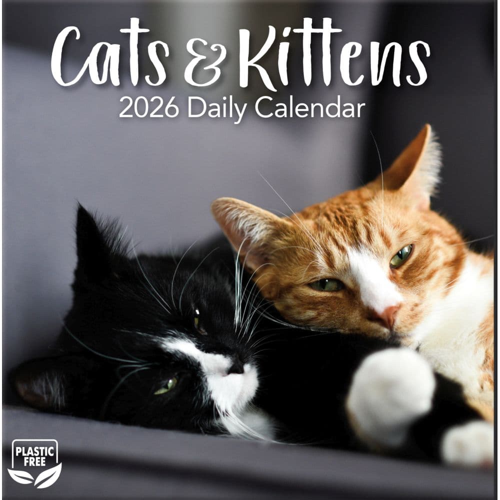 Cats And Kittens 2026 Desk Calendar_ALT1