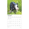 image Piglets 2025 Wall Calendar Second Alternate Image