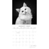 image Cat Portraits 2025 Wall Calendar Third Alternate Image width=&quot;1000&quot; height=&quot;1000&quot;