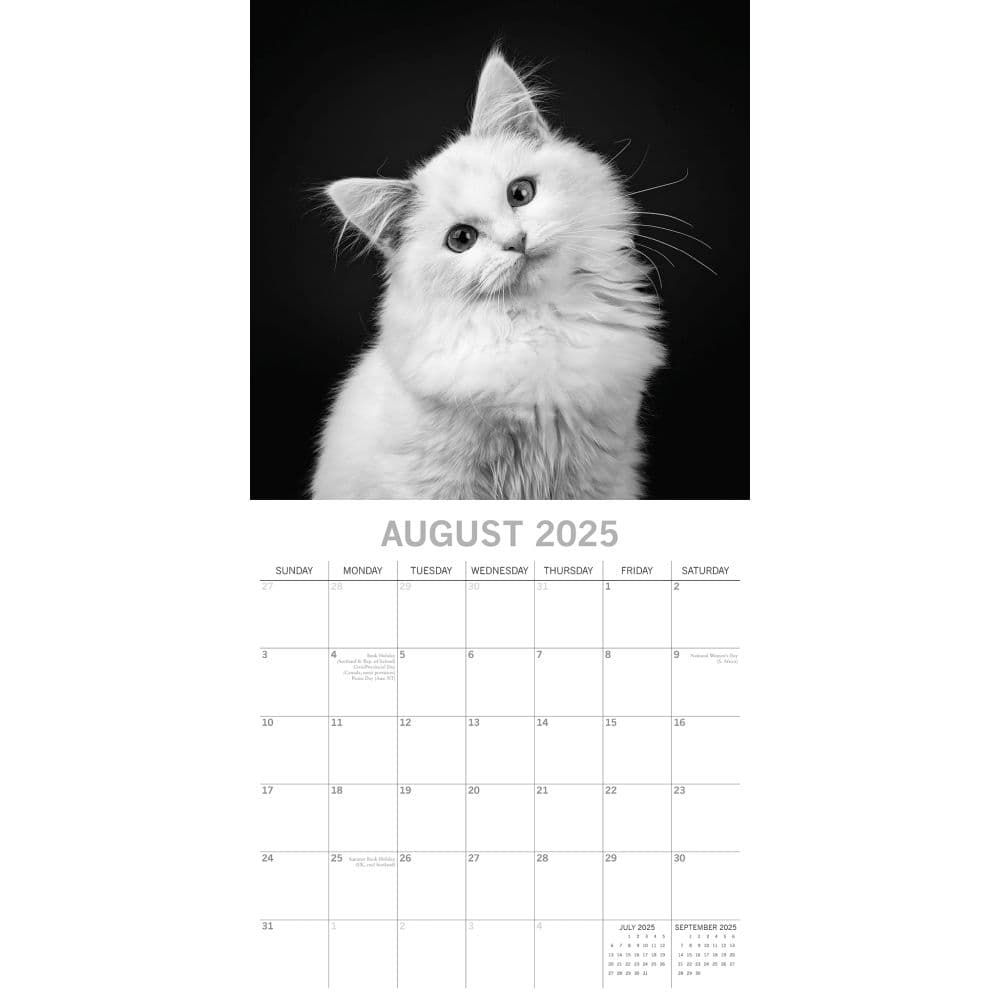 Cat Portraits 2025 Wall Calendar - Calendars.com