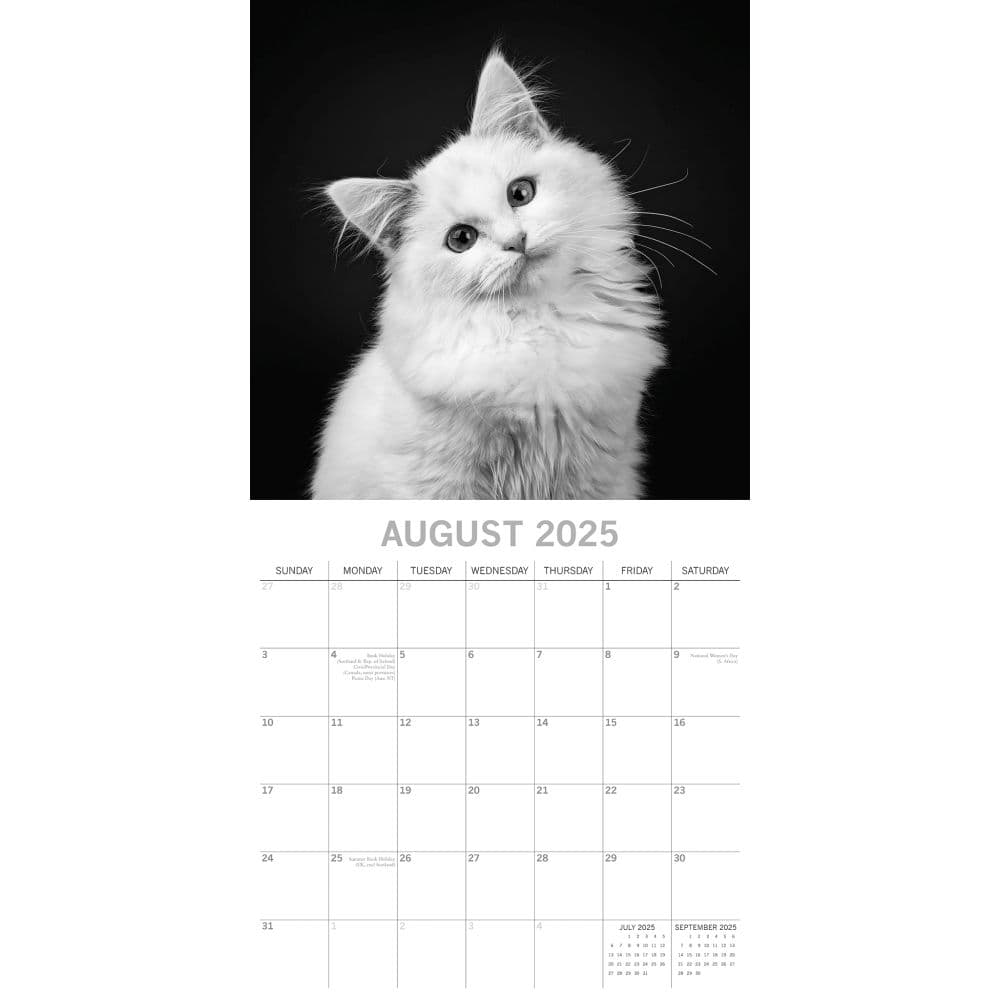 Cat Portraits 2025 Wall Calendar Third Alternate Image width=&quot;1000&quot; height=&quot;1000&quot;