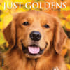 image Just Goldens 2025 Mini Wall Calendar Main Image
