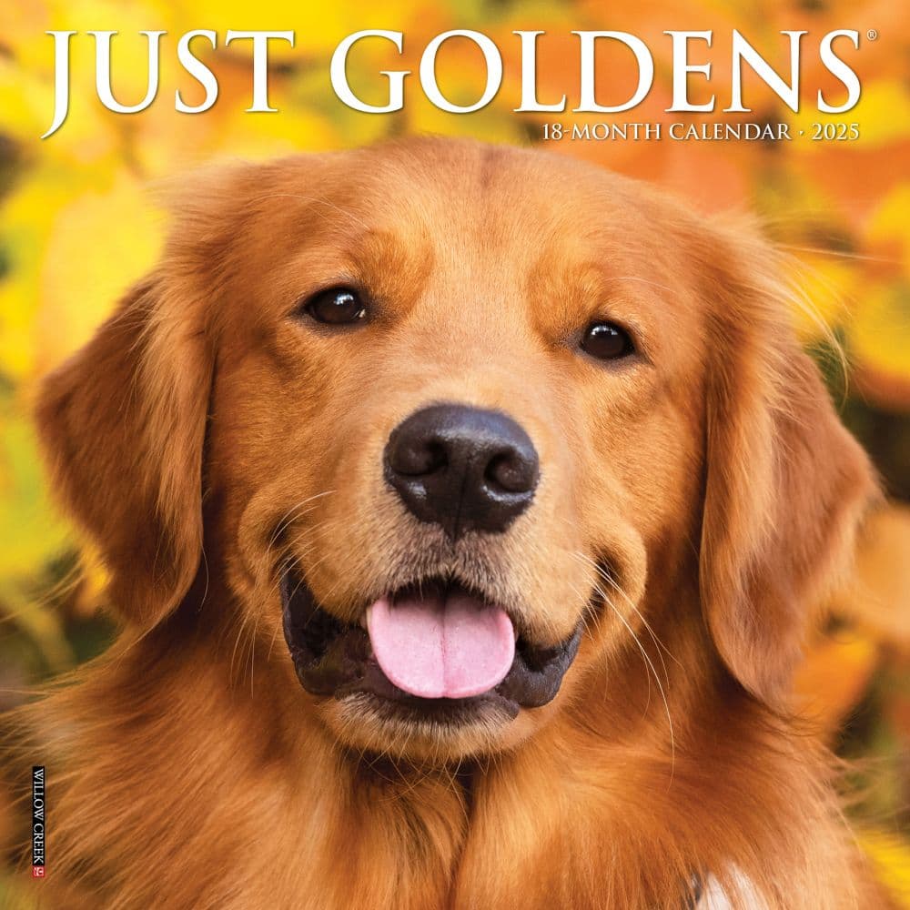 Just Goldens 2025 Mini Wall Calendar Main Image