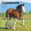 image Clydesdales 2024 Wall Calendar Main Product Image width=&quot;1000&quot; height=&quot;1000&quot;