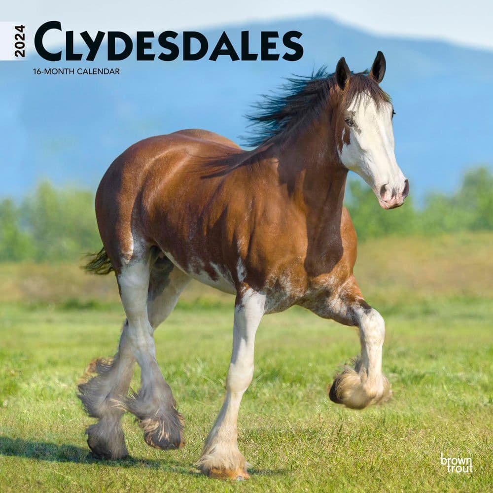 Clydesdales 2024 Wall Calendar Main Product Image width=&quot;1000&quot; height=&quot;1000&quot;