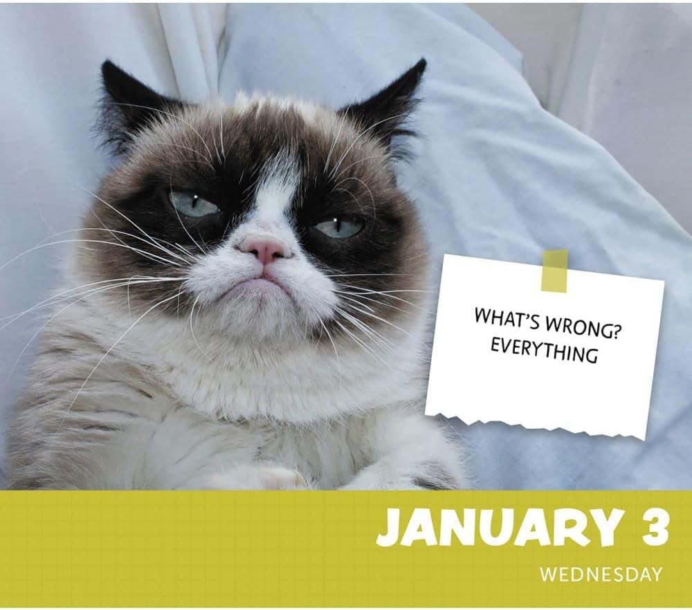 Grumpy Cat 2024 Desk Calendar - Calendars.com