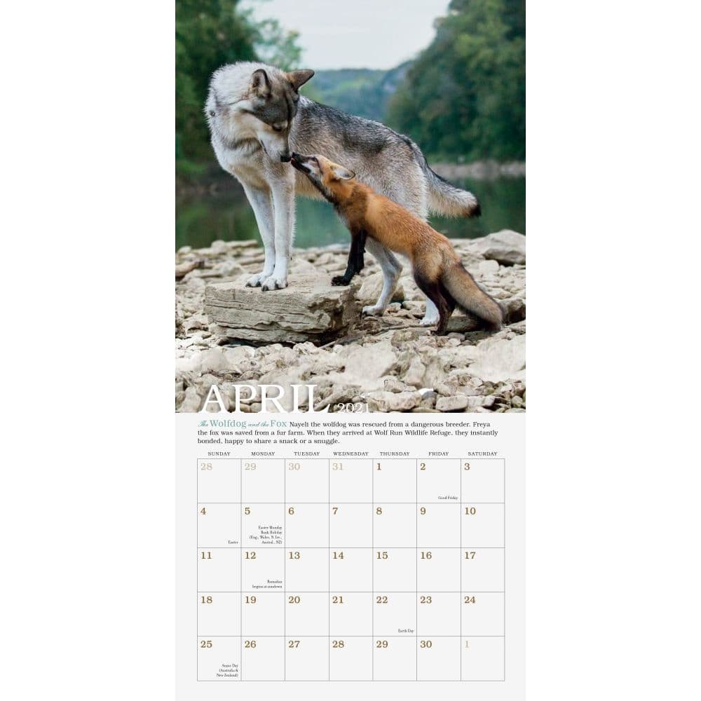 Unlikely Friendships Mini Wall Calendar